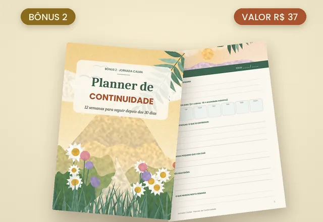 Bônus 2: Planner de Continuidade, 12 semanas